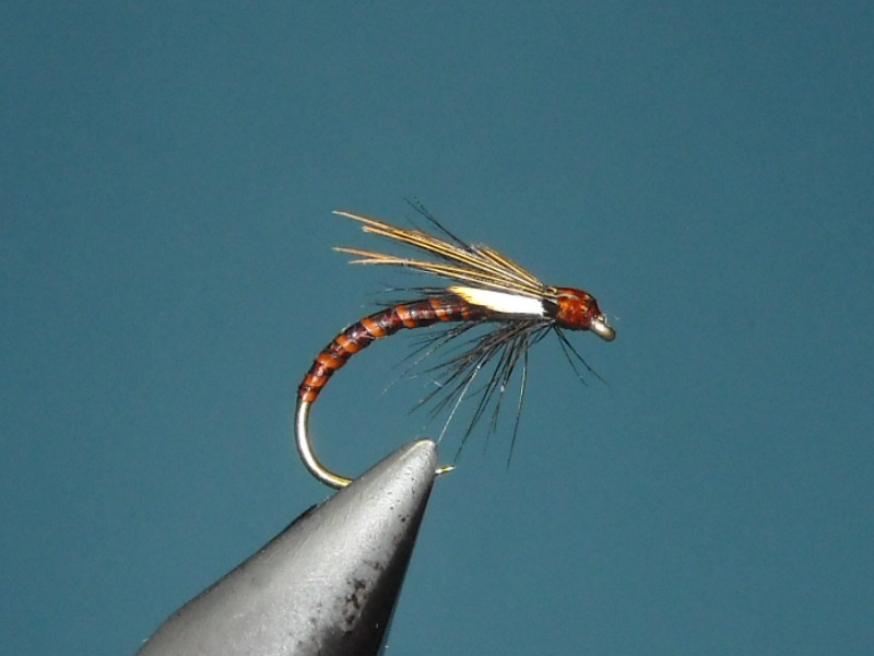 RSCN1670