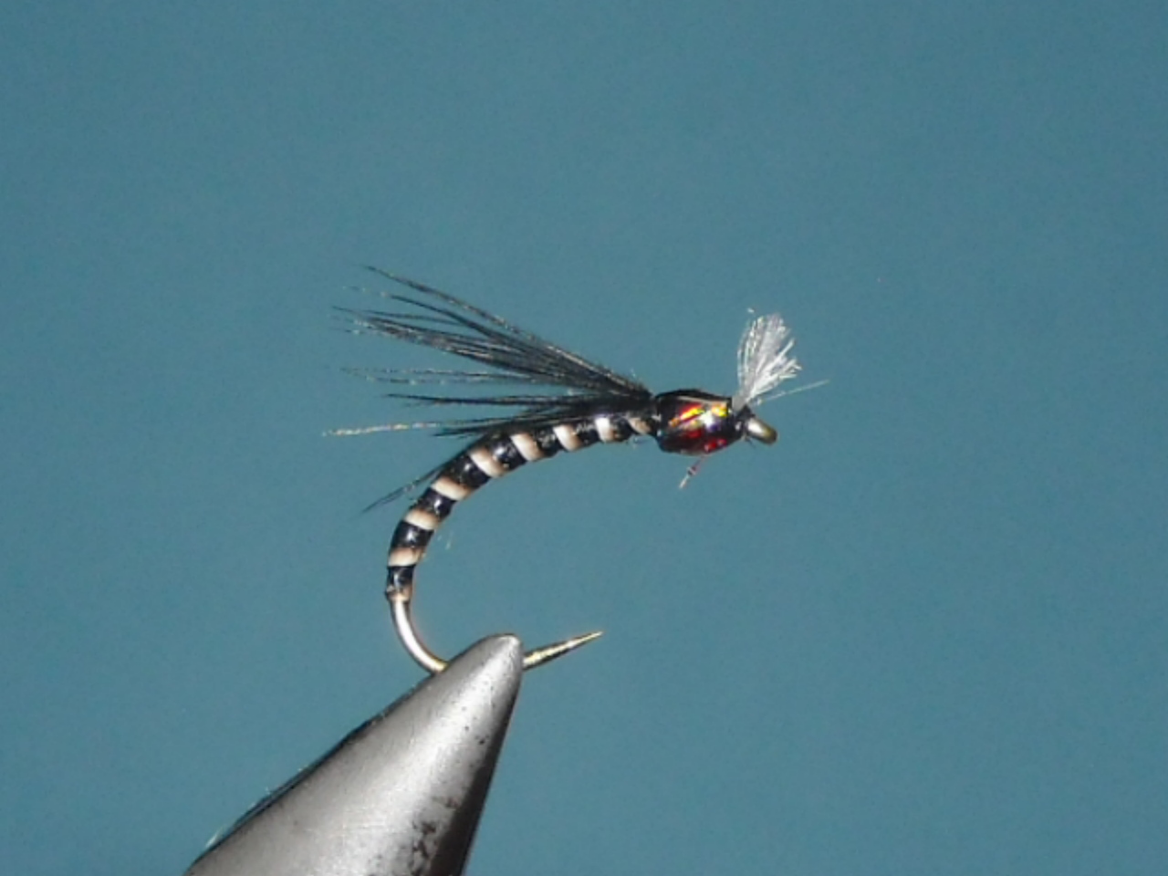 RSCN1674