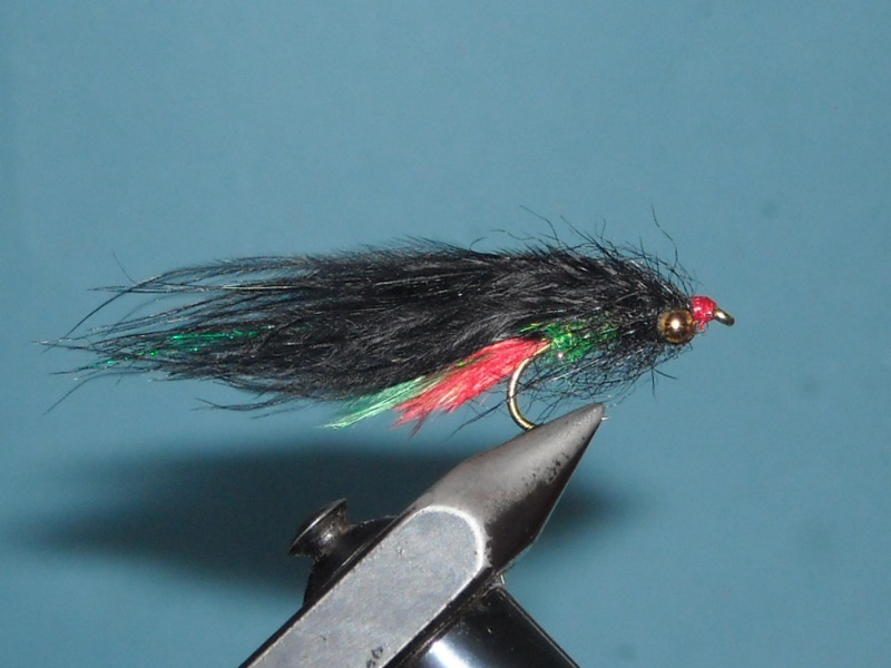 RSCN1719