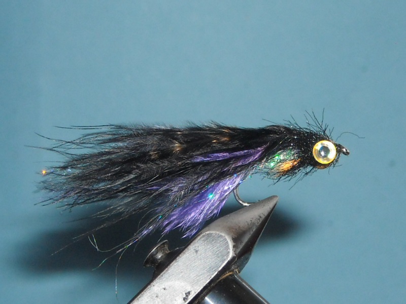 RSCN1721