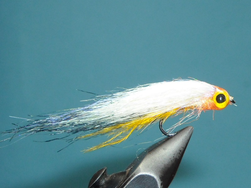 RSCN1723