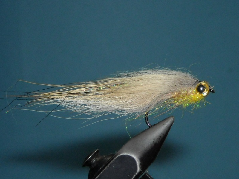 RSCN1729
