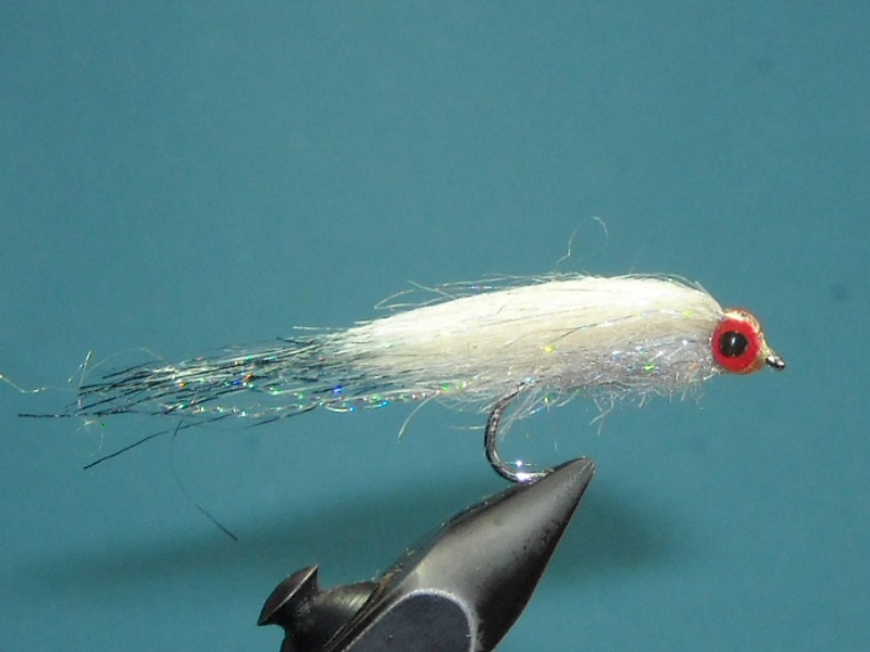 RSCN1731