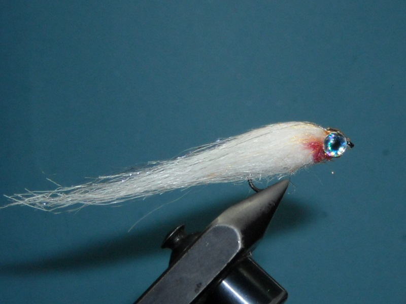 RSCN1735