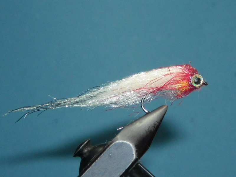 RSCN1737