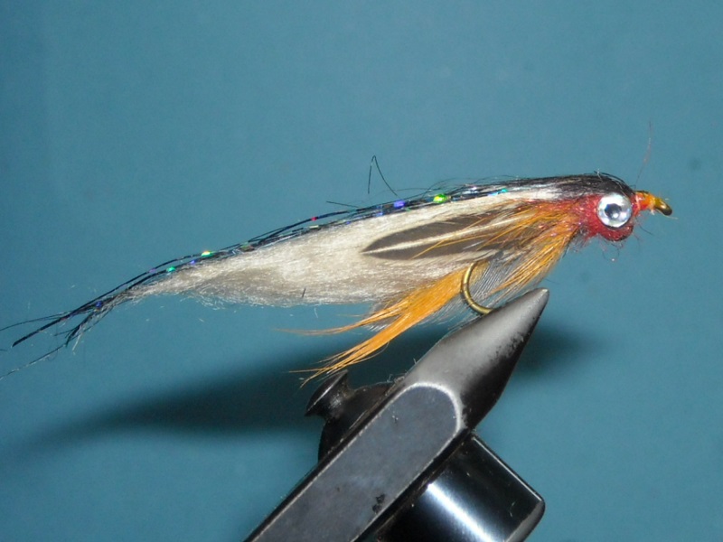 RSCN1739