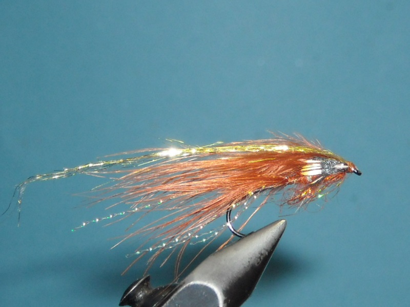 RSCN1741