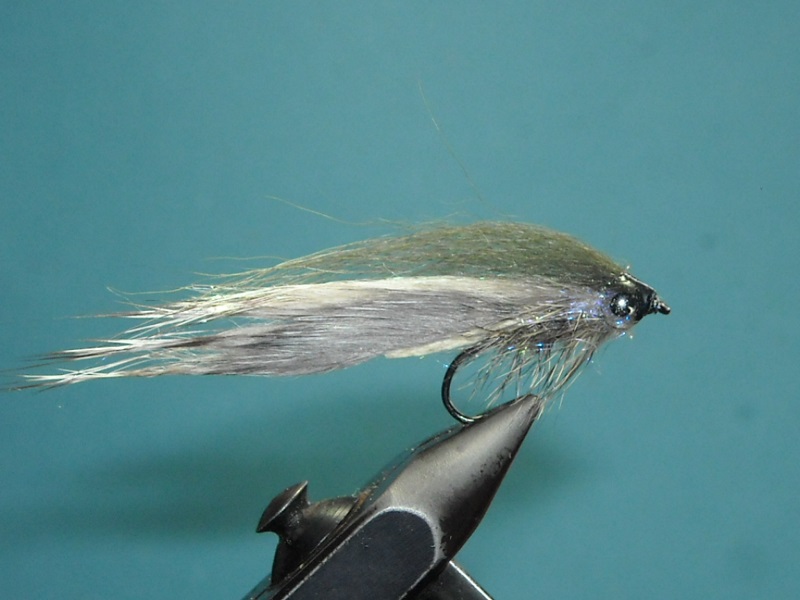 RSCN1747