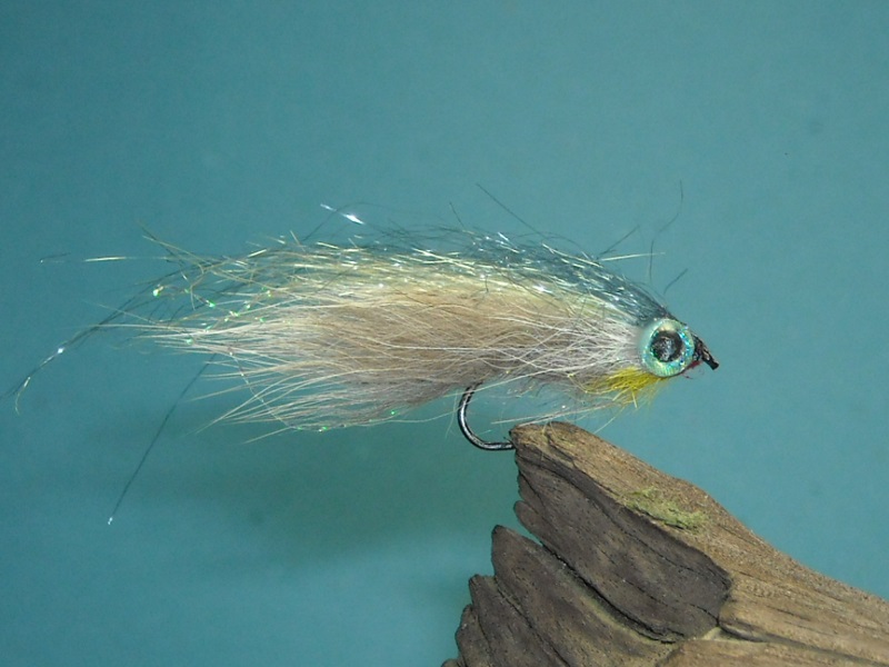 RSCN1753