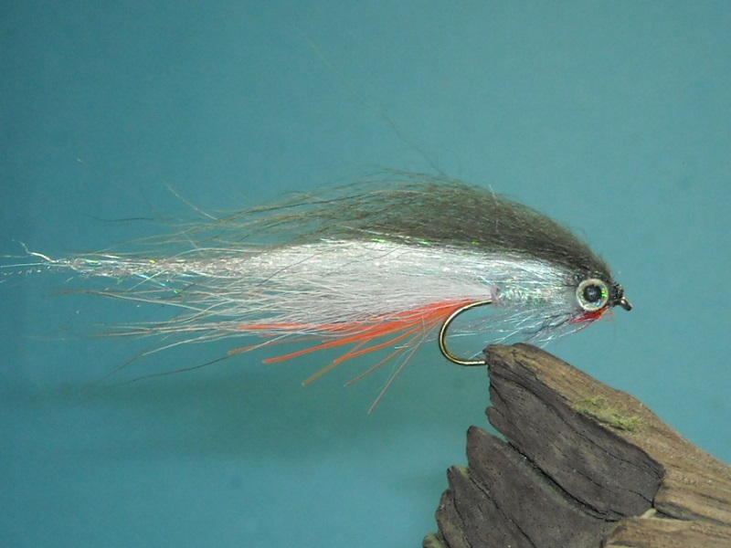 RSCN1756