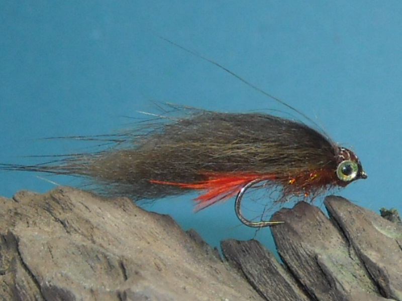 RSCN1758