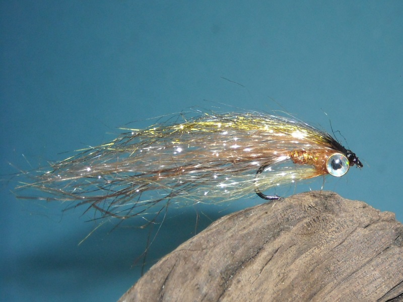 RSCN1762