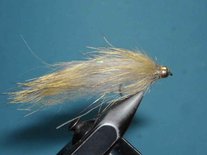 RSCN1766
