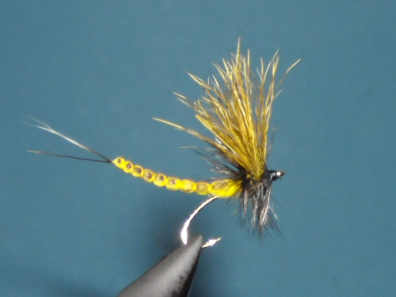 RSCN1791