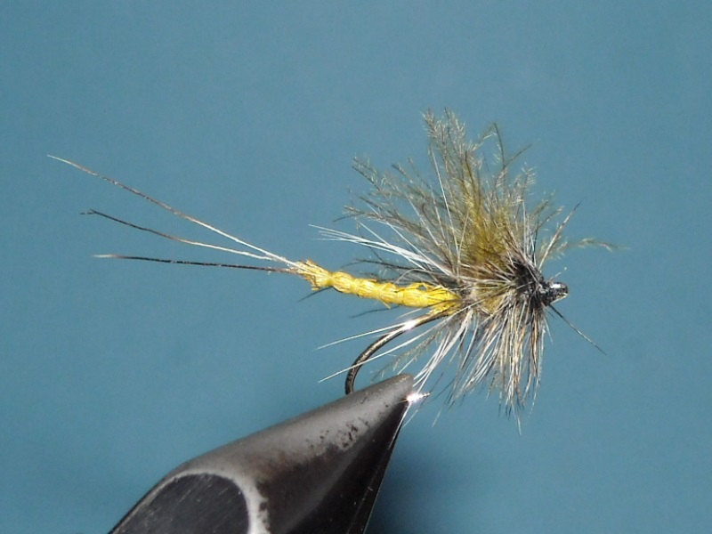 RSCN1793