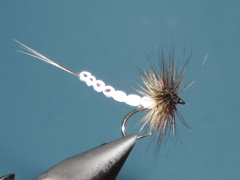 RSCN1795