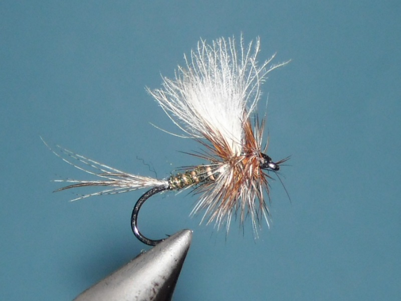 RSCN1797