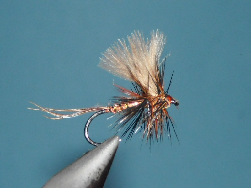 RSCN1799