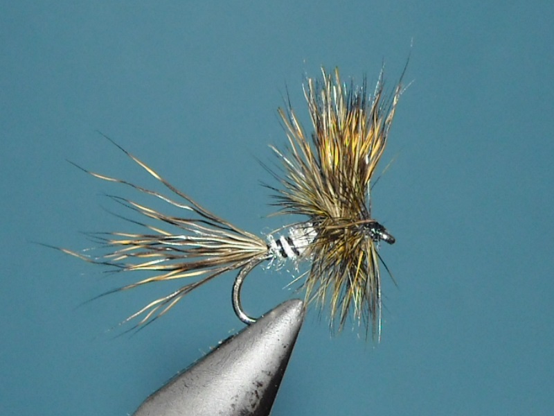RSCN1801