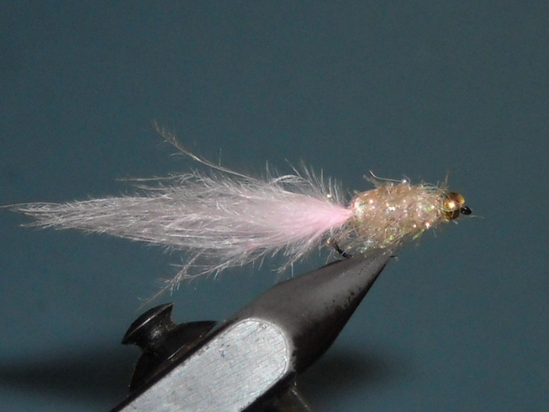 RSCN1839