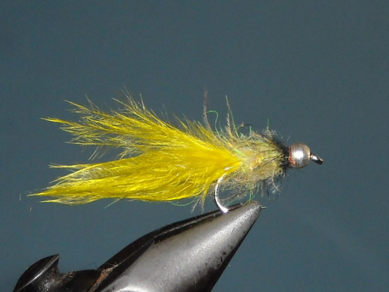 RSCN1841