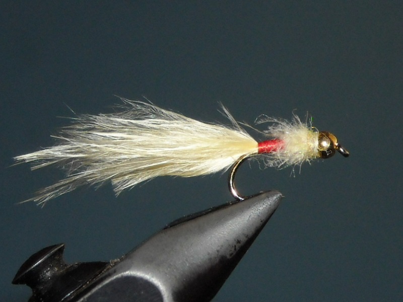 RSCN1843