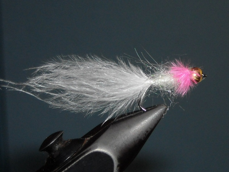 RSCN1845