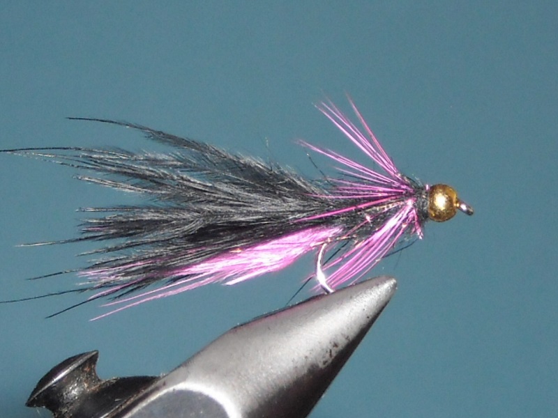 RSCN1847