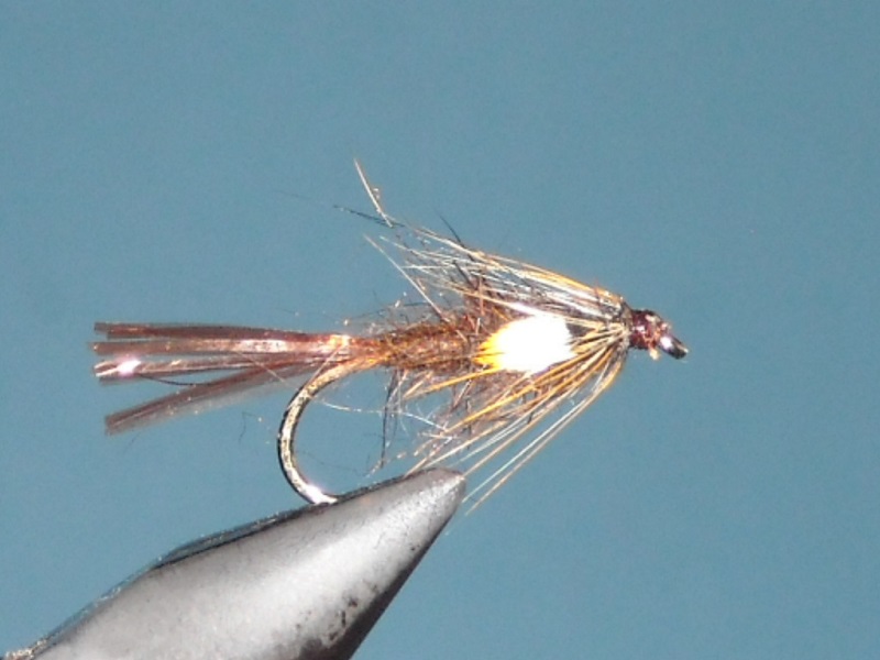 RSCN1850