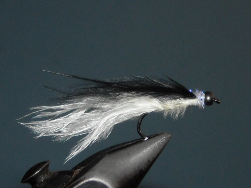 RSCN1856