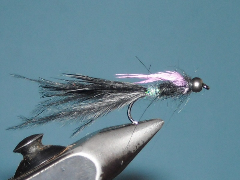RSCN1861