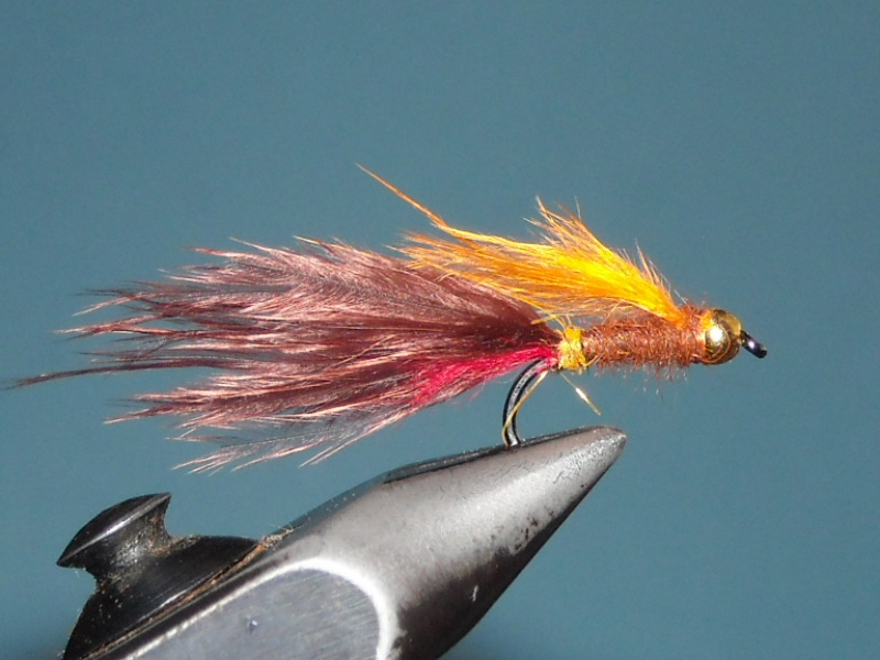 RSCN1863