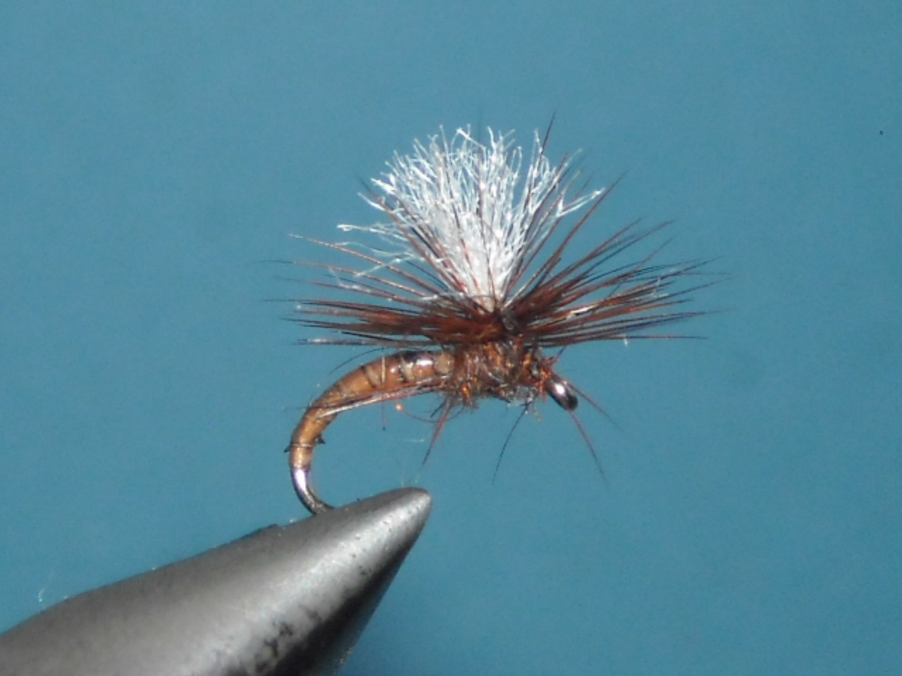 podenka brckoparasut 12