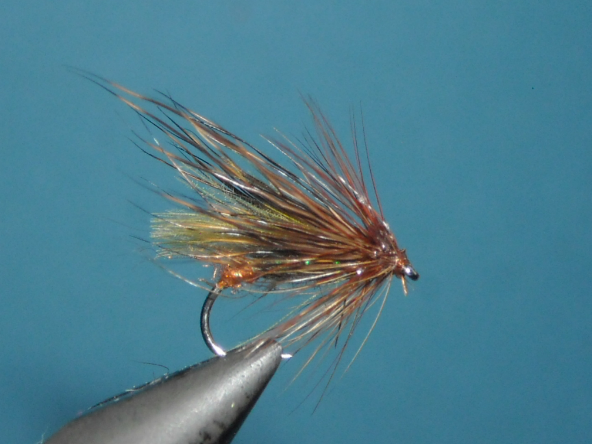 suchy potocnik 7