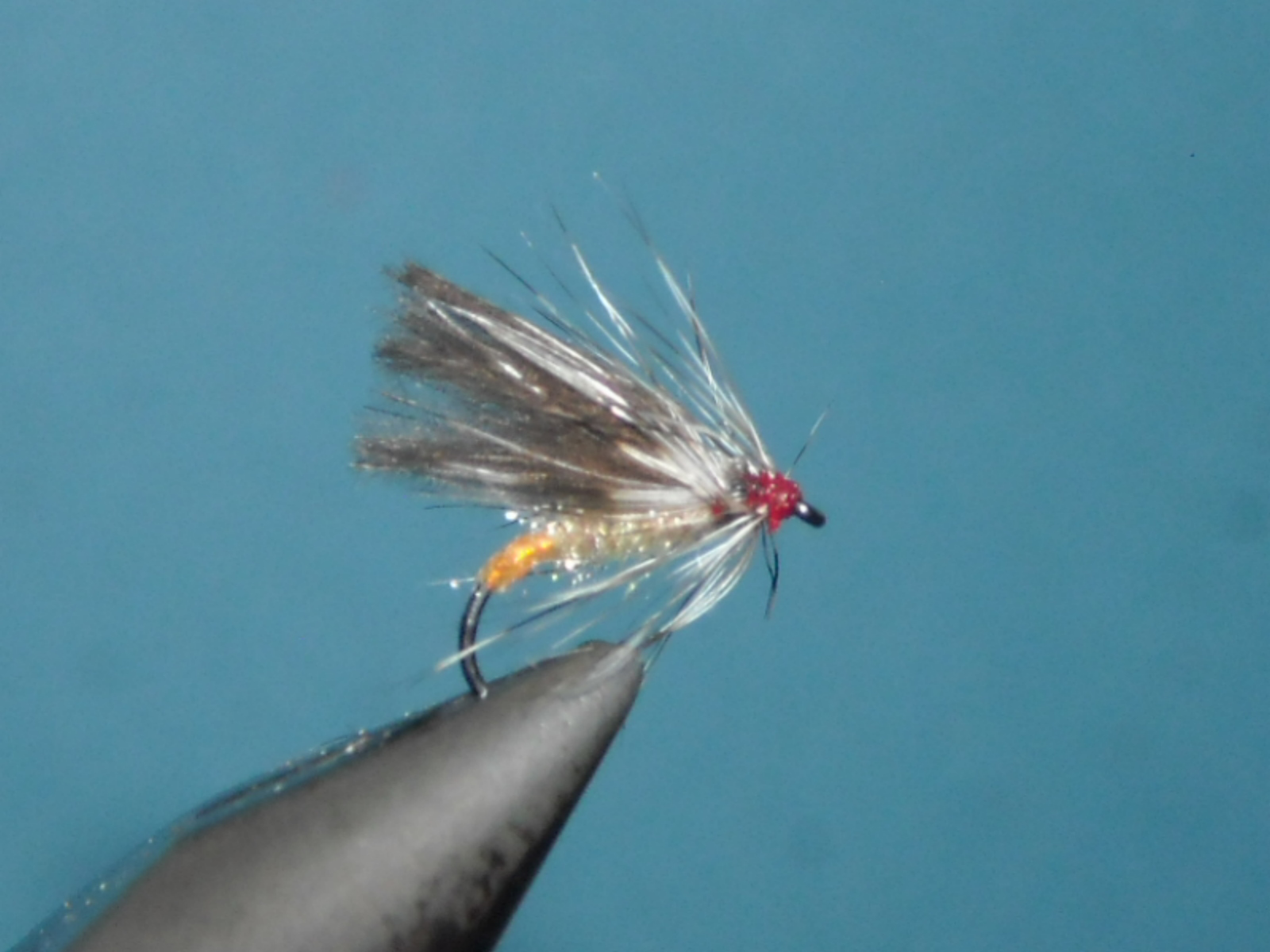 suchy potocnik grizzly CDC 4