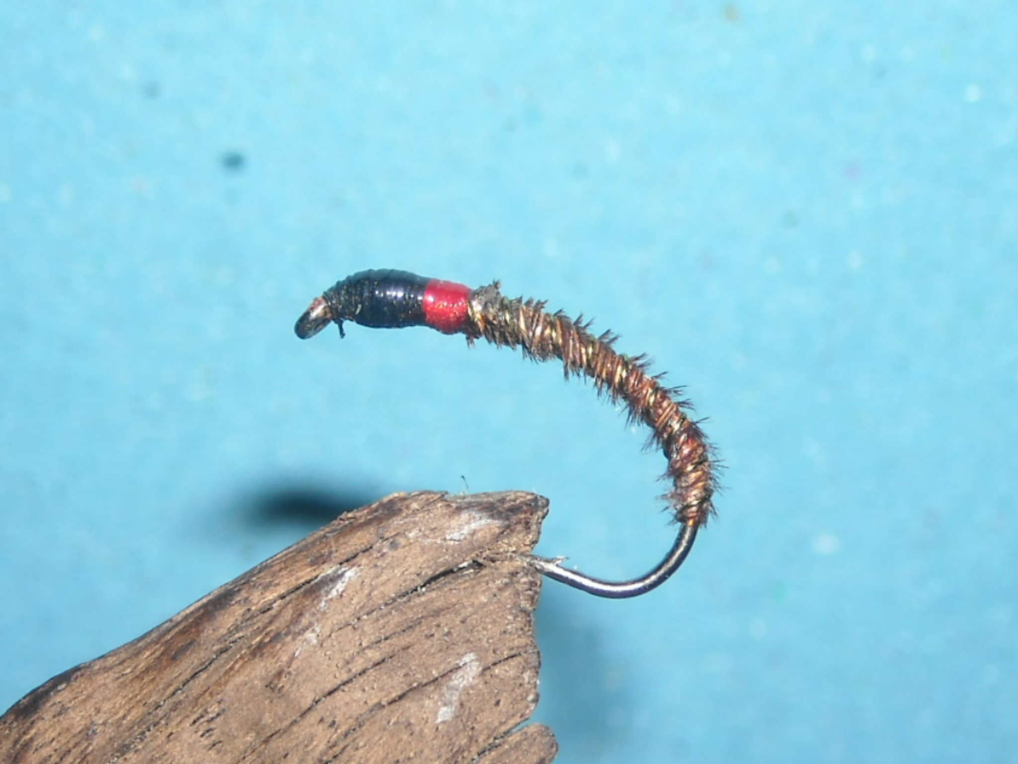 pakomar bazant 18