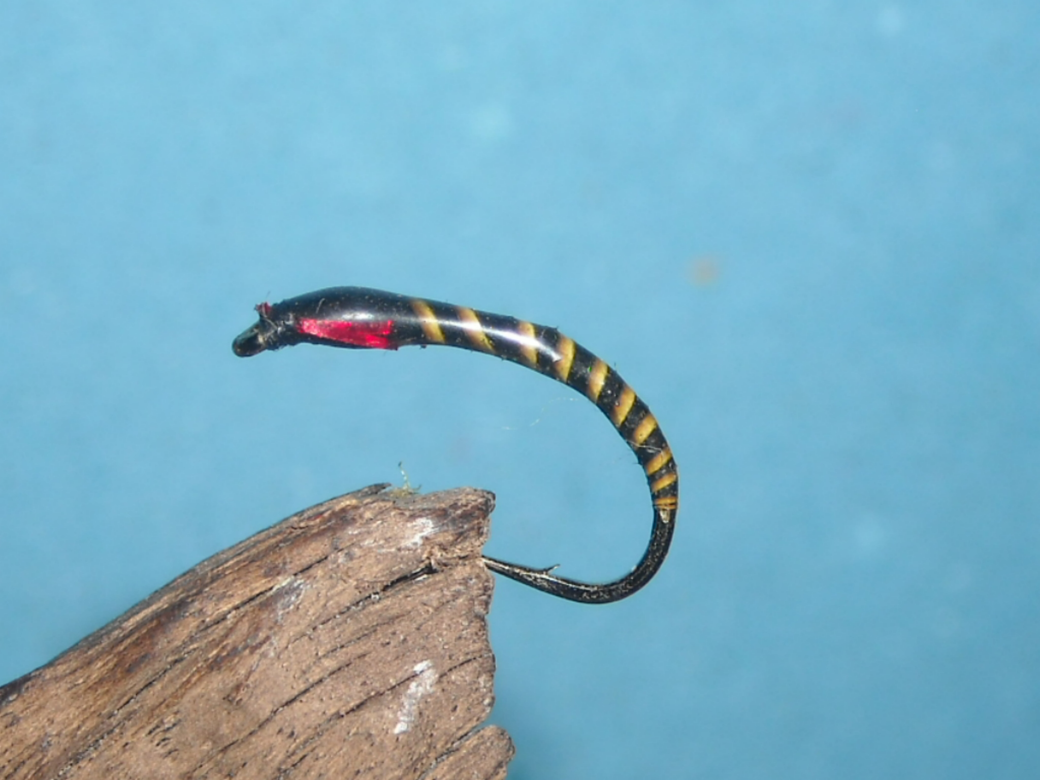 epoxy pakomar 19