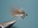 suchy potocnik CDC 7